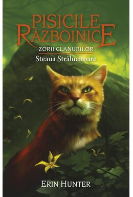 Copertă produs Pachet Seria Pisicile războinice (Vol. 25-28)
