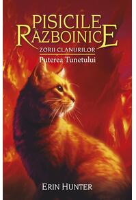 Copertă produs Pachet Seria Pisicile războinice (Vol. 25-28)