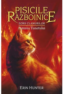 Copertă produs Pachet Seria Pisicile războinice (Vol. 25-28)
