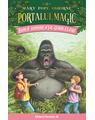 Copertă produs Pachet Seria Portalul magic (Vol. 21&ndash;24) - thumb 3