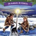 Copertă produs Pachet Seria Portalul magic (Vol. 25&ndash;28) - gallery small 