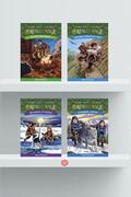 Pachet Seria Portalul magic (Vol. 25&ndash;28)