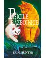 Copertă produs Pachet Seria Pisicile războinice (Vol. 1-4) - thumb 2
