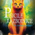 Copertă produs Pachet Seria Pisicile războinice (Vol. 1-4) - gallery small 
