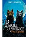 Copertă produs Pachet Seria Pisicile războinice (Vol. 1-4) - thumb 5