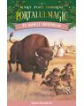 Copertă produs Pachet Seria Portalul magic (Vol. 16&ndash;19) - thumb 3