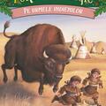 Copertă produs Pachet Seria Portalul magic (Vol. 16&ndash;19) - gallery small 
