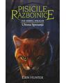 Copertă produs Pachet Seria Pisicile războinice (Vol. 21-24) - thumb 3