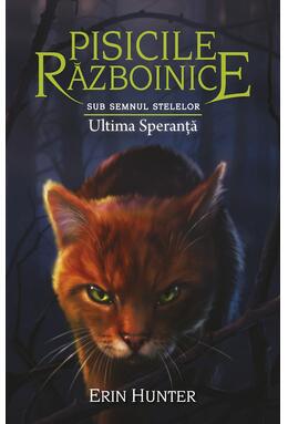 Copertă produs Pachet Seria Pisicile războinice (Vol. 21-24)