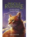 Copertă produs Pachet Seria Pisicile războinice (Vol. 21-24) - thumb 5