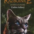 Copertă produs Pachet Seria Pisicile războinice (Vol. 15-18) - gallery small 