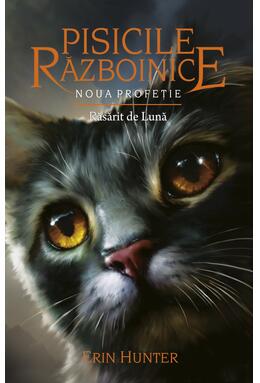 Copertă produs Pachet Seria Pisicile războinice (Vol. 5-8)