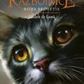Copertă produs Pachet Seria Pisicile războinice (Vol. 5-8) - gallery small 
