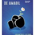 Copertă produs Rezonabil de amabil - gallery small 