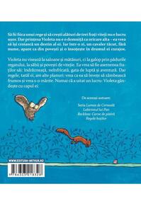 Copertă produs Misteriosul cavaler Fără-de-Nume