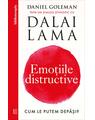 Copertă produs Pachet autor &ndash; Daniel Goleman - thumb 2