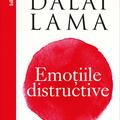 Copertă produs Pachet autor &ndash; Daniel Goleman - gallery small 