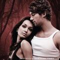 Copertă produs Pachet Seria Lux - Jennifer L. Armentrout (Vol. 2-5) - gallery small 
