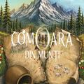 Copertă produs Comoara din munți - gallery small 