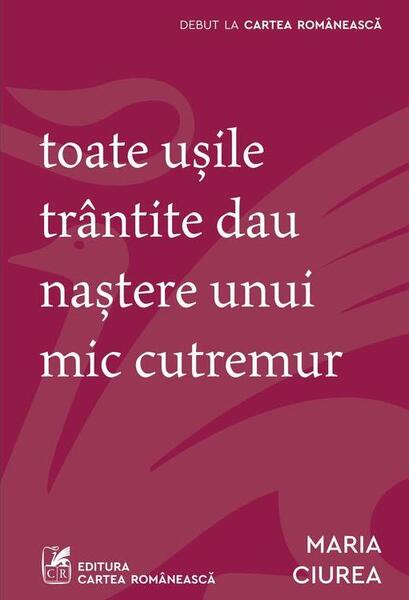 Toate ușile trântite dau naștere unui mic cutremur - Paperback brosat - Cartea Românească
