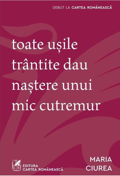 Copertă produs Toate ușile tr&acirc;ntite dau naștere unui mic cutremur