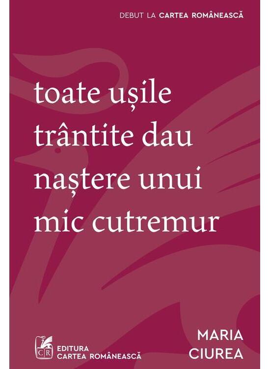 Copertă produs Toate ușile tr&acirc;ntite dau naștere unui mic cutremur - gallery big 1