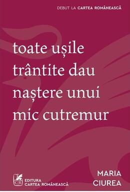 Copertă produs Toate ușile tr&acirc;ntite dau naștere unui mic cutremur