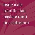 Copertă produs Toate ușile tr&acirc;ntite dau naștere unui mic cutremur - gallery small 