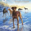 Copertă produs Pachet Seria Supraviețuitorii - Erin Hunter (Vol. 5-8) - gallery small 
