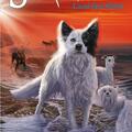 Copertă produs Pachet Seria Supraviețuitorii - Erin Hunter (Vol. 5-8) - gallery small 