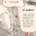 Copertă produs C&acirc;teva cuvinte despre fericire - gallery small 