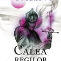 Copertă produs Pachet autor &ndash; Brandon Sanderson - gallery small 