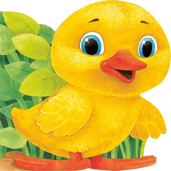 Rățușca - Board book - Prut