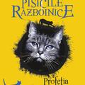 Copertă produs Pachet autor - Erin Hunter - gallery small 