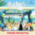 Copertă produs Bluey - Predă pachetul