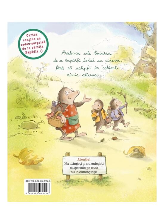 Copertă produs Șoricelul Fursec și aventura din pădure - gallery big 2