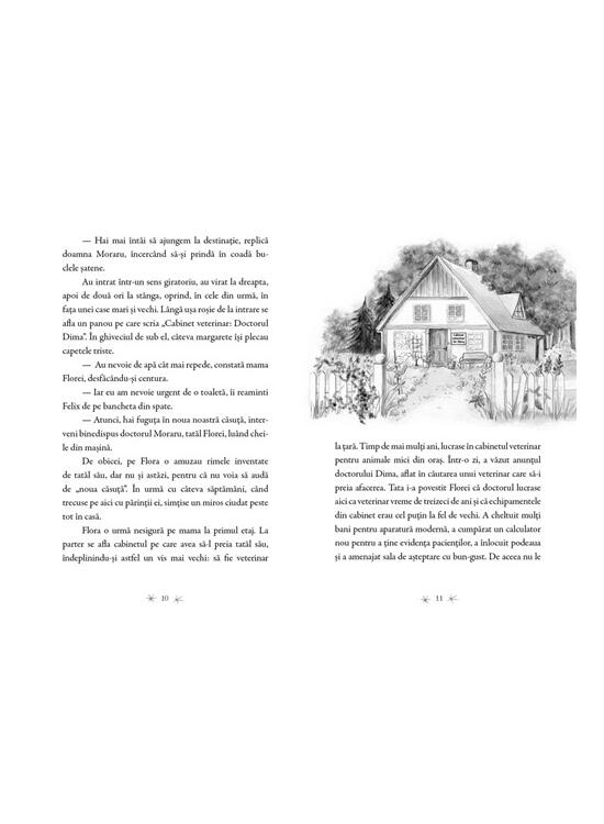 Copertă produs Bufnițele magice - Un secret auriu (Vol. 1) - gallery big 3