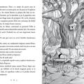 Copertă produs Bufnițele magice - Un secret auriu (Vol. 1) - gallery small 