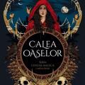 Copertă produs Cenușa Magică. Calea oaselor (Vol. 1) - gallery small 