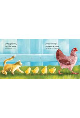 Copertă produs Zuco, un pisoi gălbui