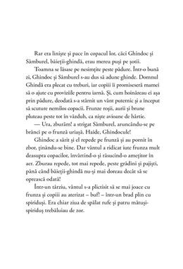 Copertă produs Ghindoc, Lina și S&acirc;mburel