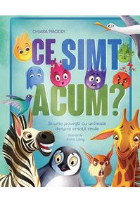 Copertă produs Ce simt acum?