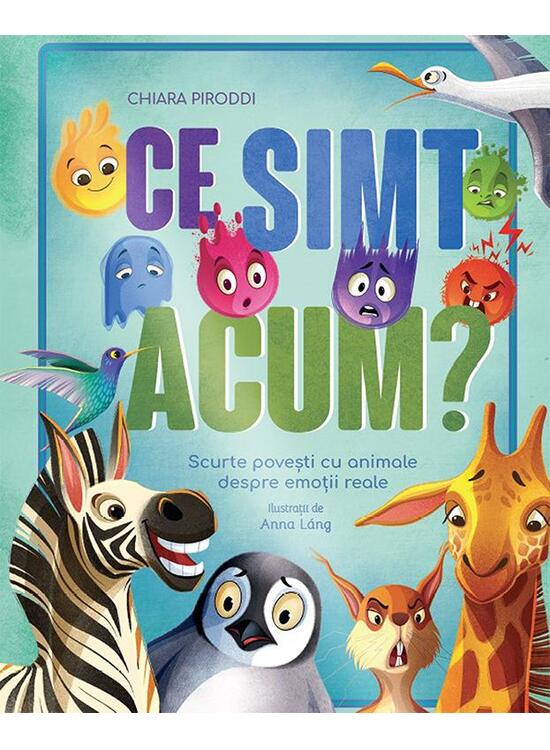 Copertă produs Ce simt acum? - gallery big 1