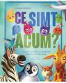 Copertă produs Ce simt acum? - thumb 1