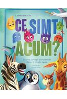 Imagine produs Ce simt acum?