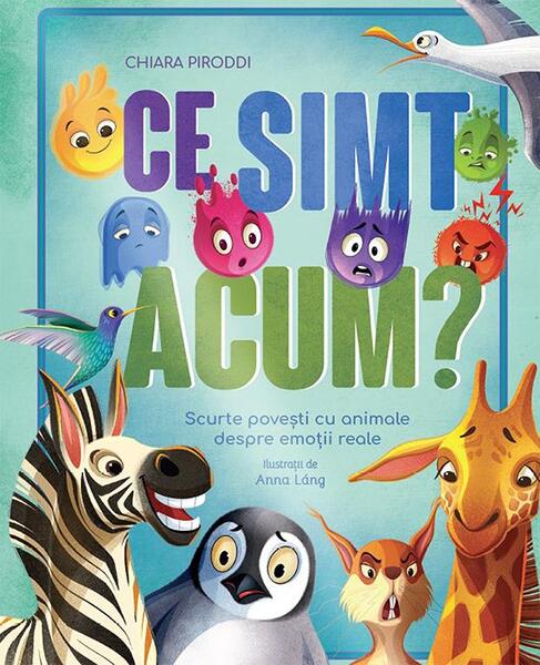 Ce simt acum? - Hardcover - Prut