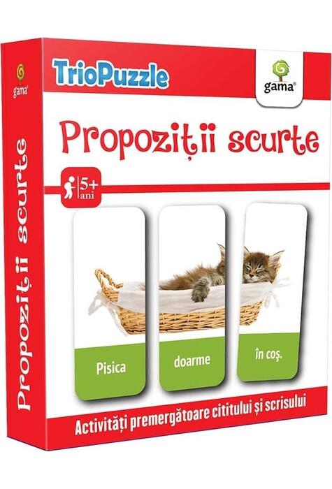 Copertă produs Propoziții scurte