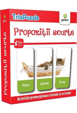 Copertă produs Propoziții scurte