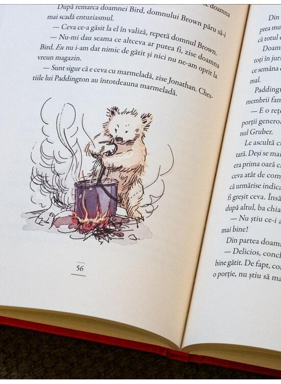 Copertă produs Paddington &icirc;n străinătate - gallery big 5