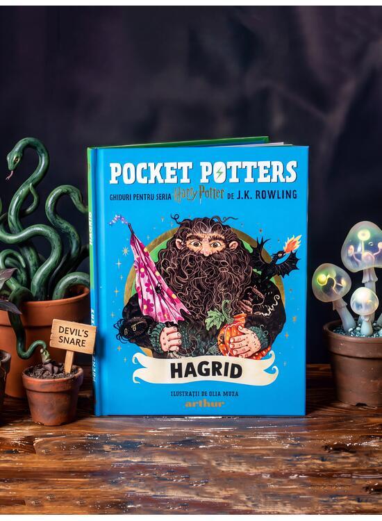 Copertă produs Pocket Potters: Hagrid (Vol. 6) - gallery big 3